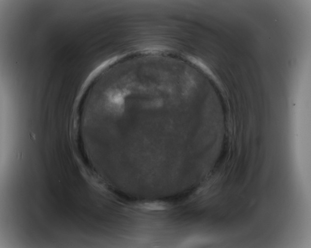 X0000085320583200703302046