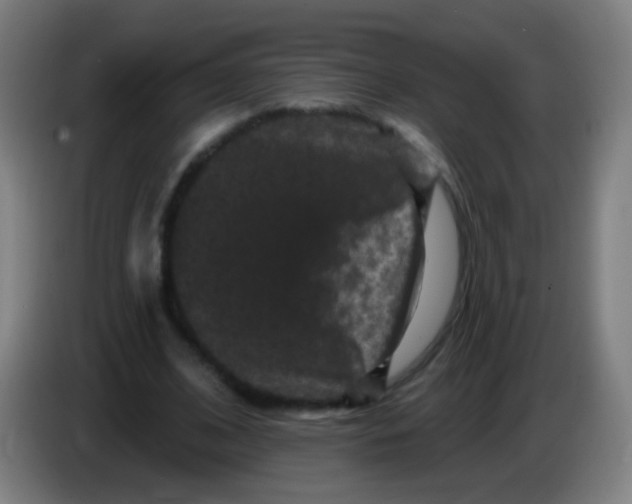 X0000085320584200703302046