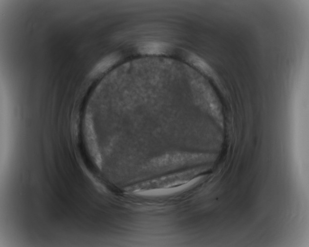 X0000085320586200703302046