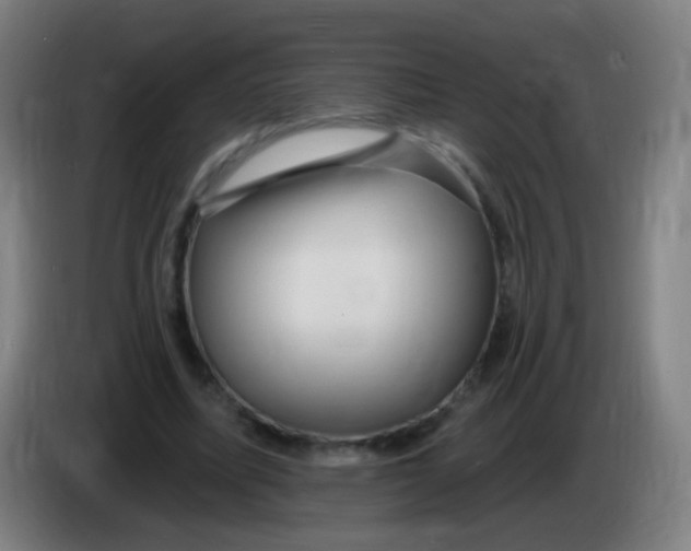 X0000085320587200703302046