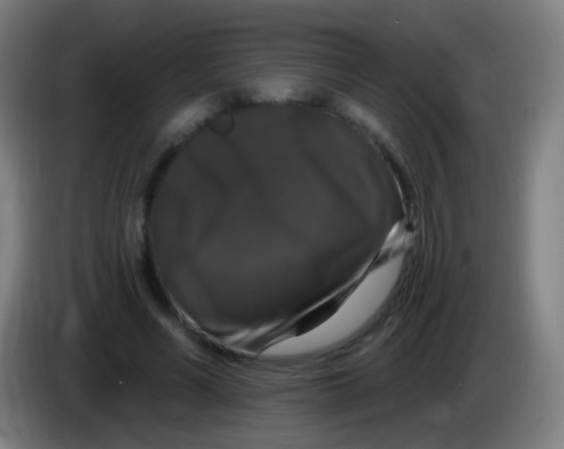 X0000085320590200703302046