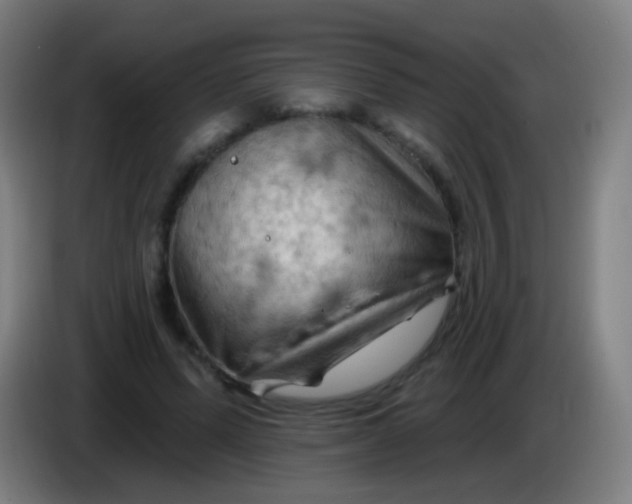 X0000085320591200703302046