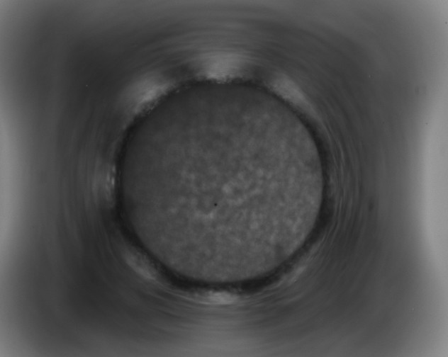 X0000085320592200703302046