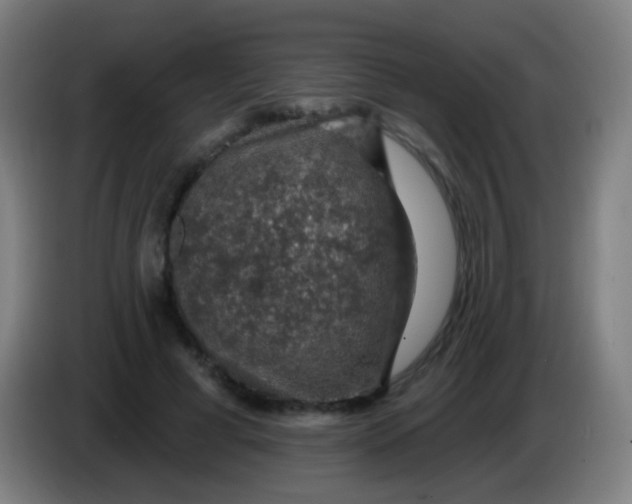 X0000085320593200703302046