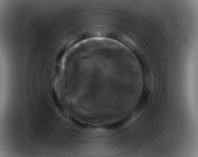 X0000085320594200703302046