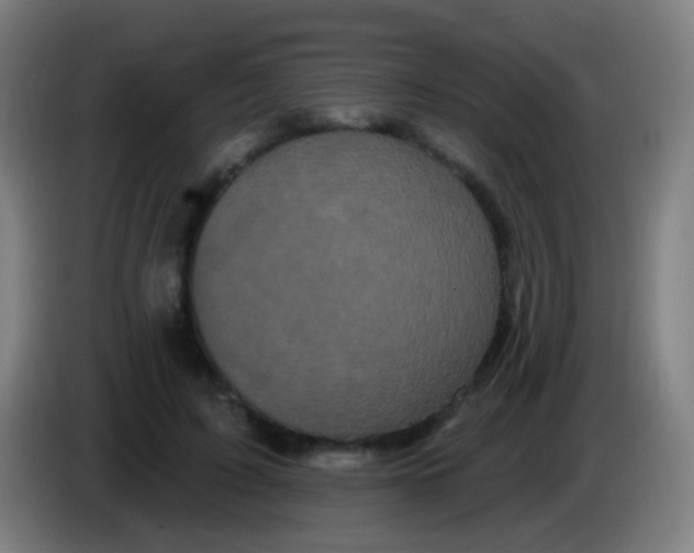 X0000085320595200703302046