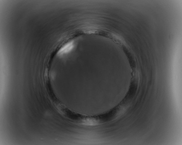 X0000085320598200703302046