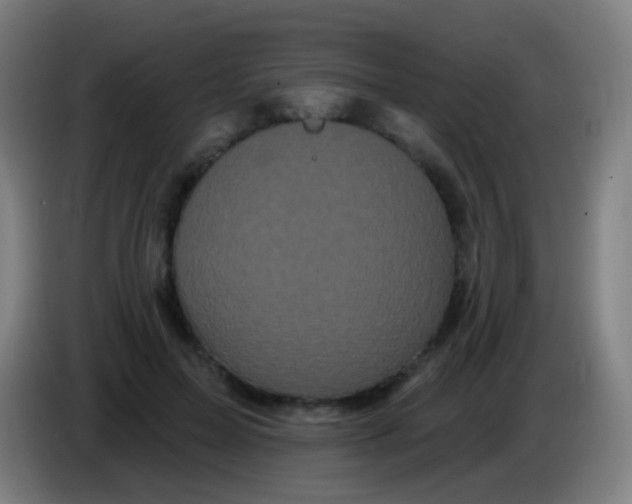 X0000085320599200703302046