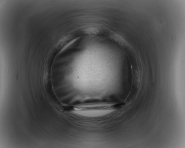 X0000085320600200703302046