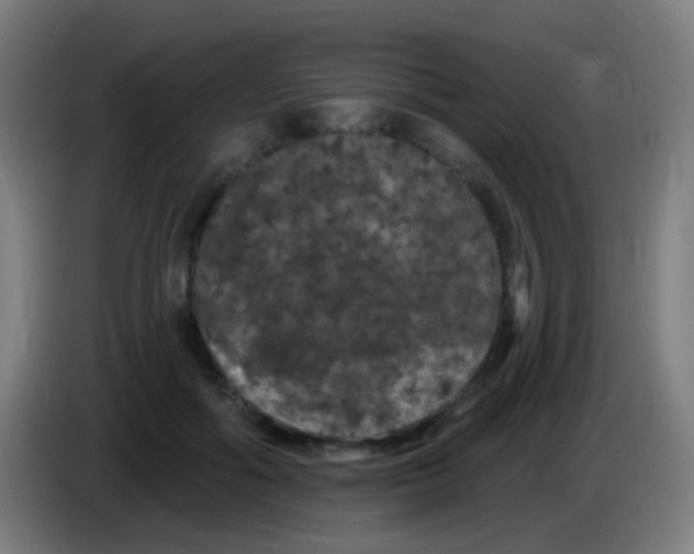 X0000085320602200703302046