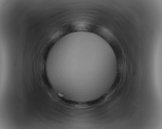 X0000085320603200703302046