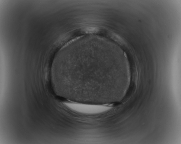 X0000085320604200703302046