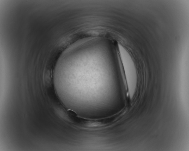 X0000085320605200703302046