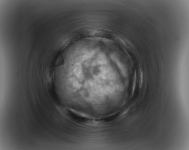 X0000085320607200703302046