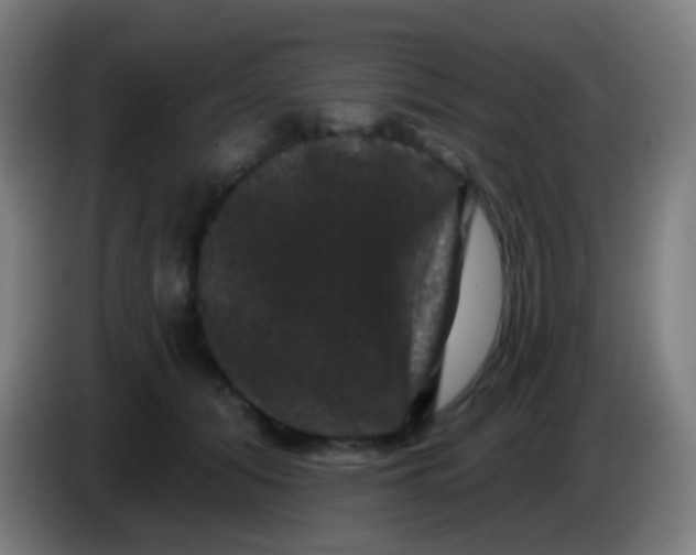 X0000085320608200703302046