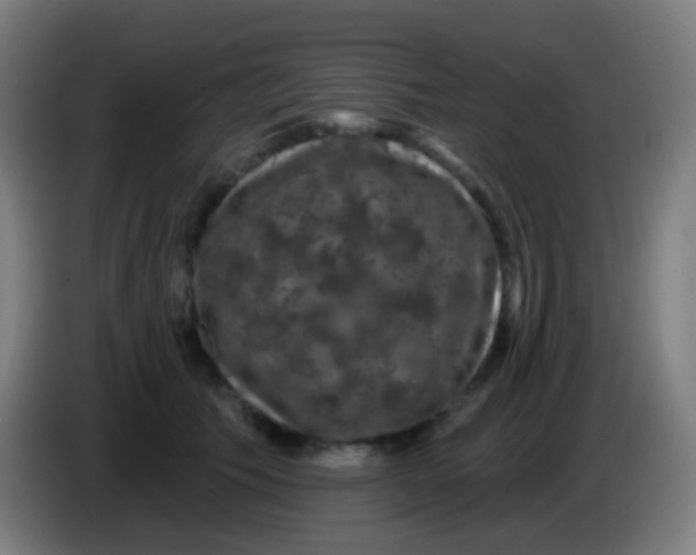 X0000085320609200703302046