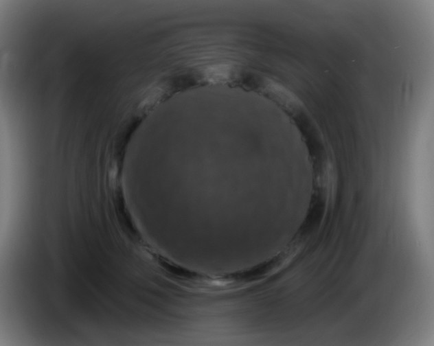 X0000085320610200703302046