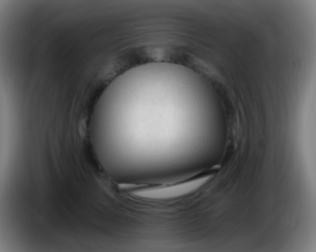 X0000085320611200703302046