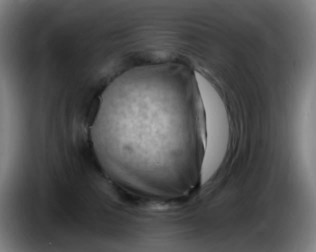 X0000085320613200703302046