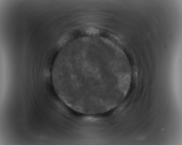 X0000085320614200703302046