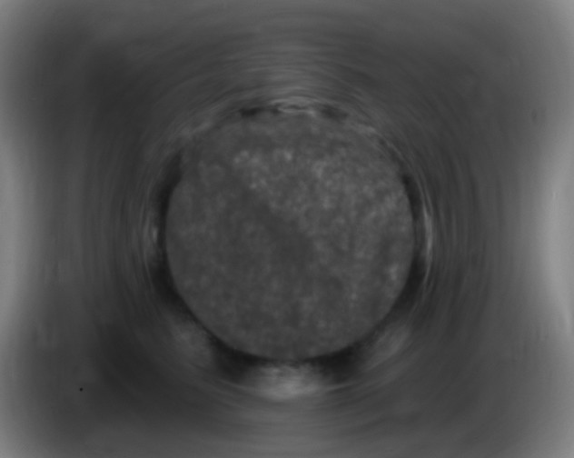 X0000085320615200703302046