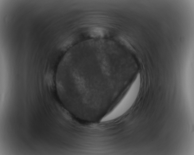 X0000085320616200703302046