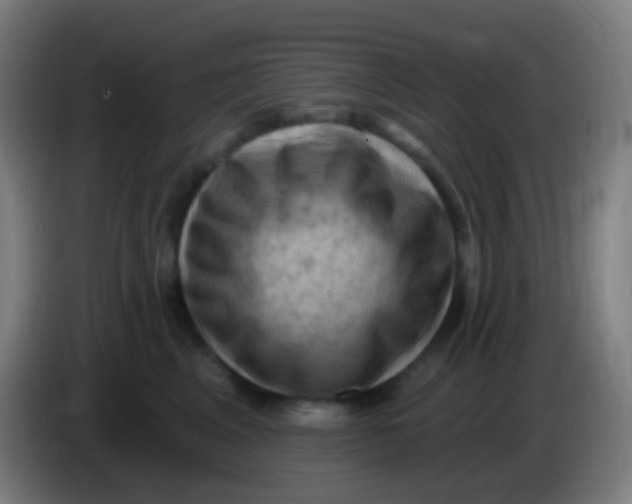 X0000085320617200703302046