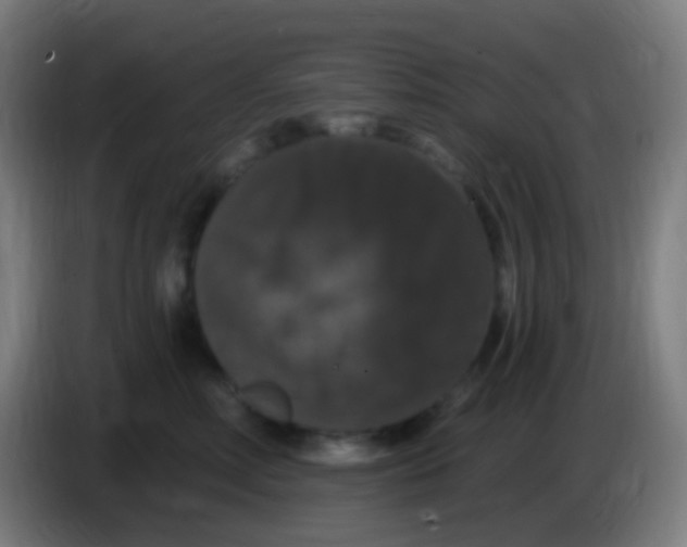 X0000085320618200703302046