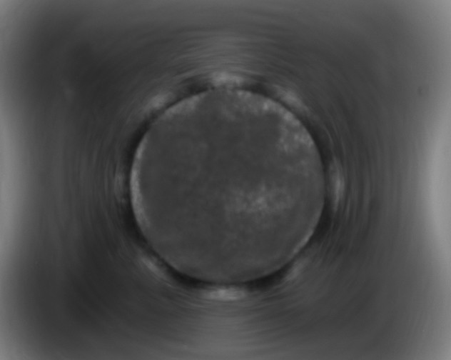 X0000085320619200703302046