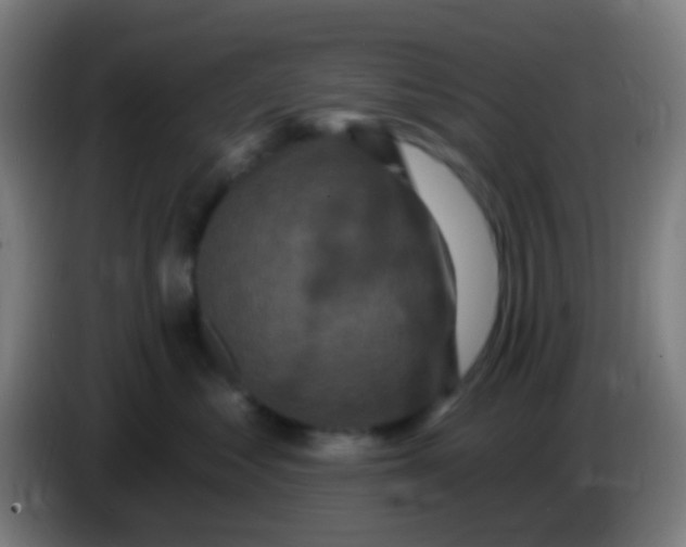 X0000085320621200703302046