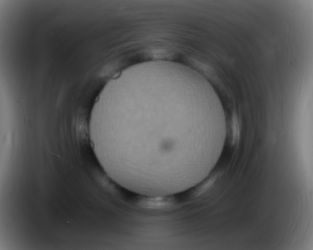 X0000085320622200703302046