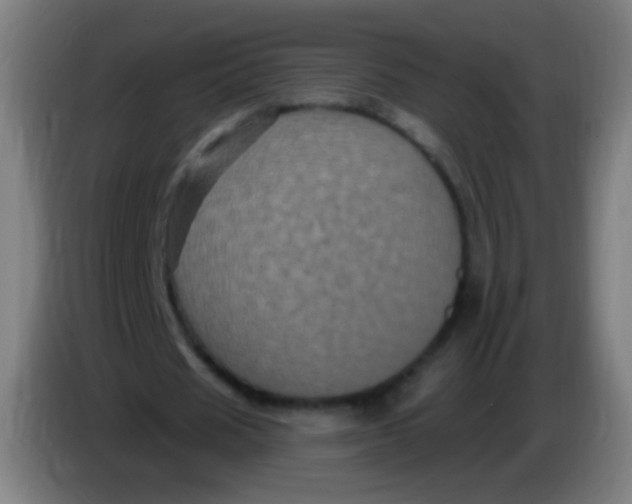 X0000085320625200703302045