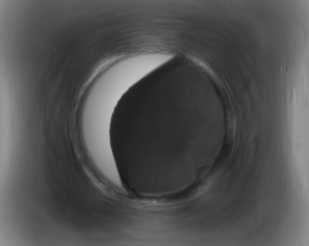 X0000085320626200703302045