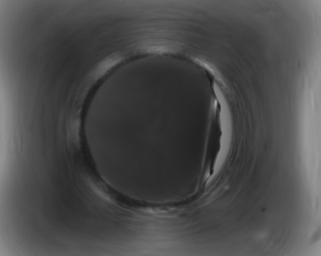 X0000085320627200703302045