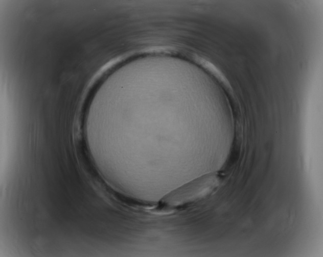 X0000085320628200703302045