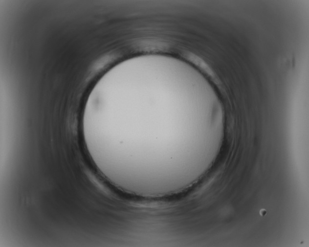 X0000085320629200703302045