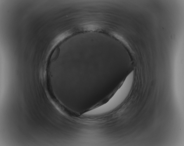 X0000085320630200703302045