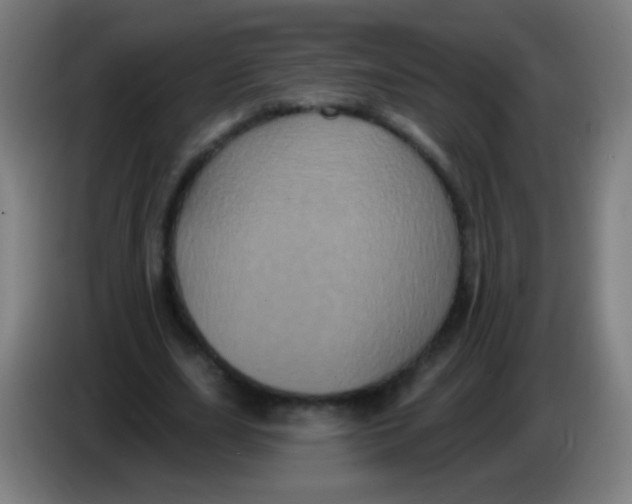 X0000085320631200703302045