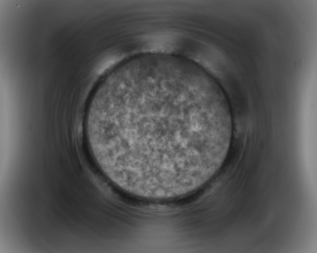 X0000085320632200703302045