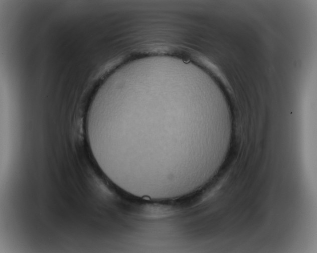 X0000085320633200703302045