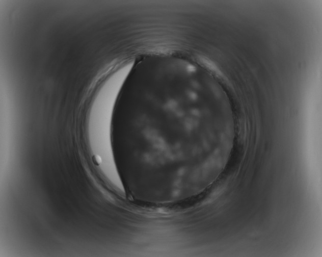 X0000085320634200703302045