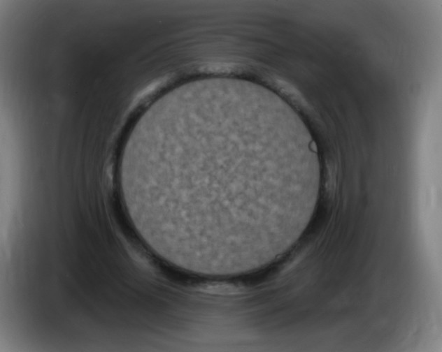 X0000085320636200703302045