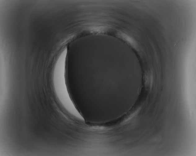 X0000085320637200703302045