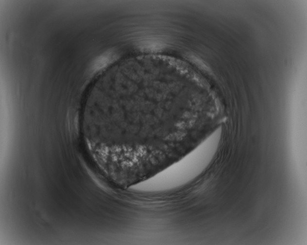 X0000085320638200703302045