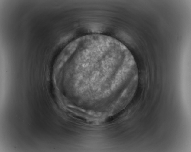 X0000085320639200703302045