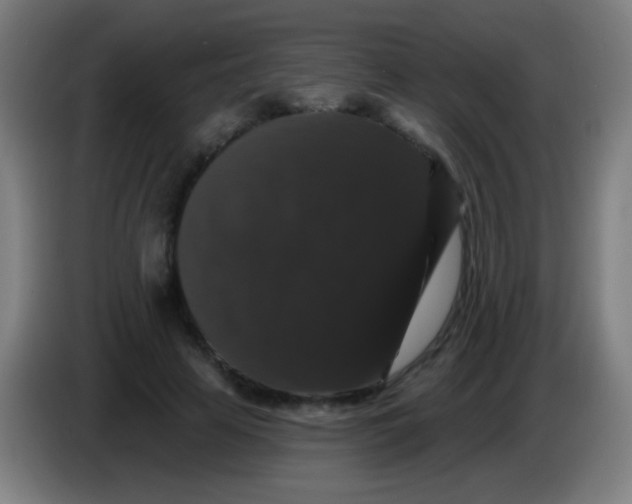 X0000085320641200703302045