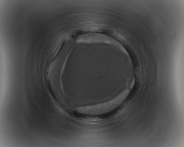 X0000085320642200703302045