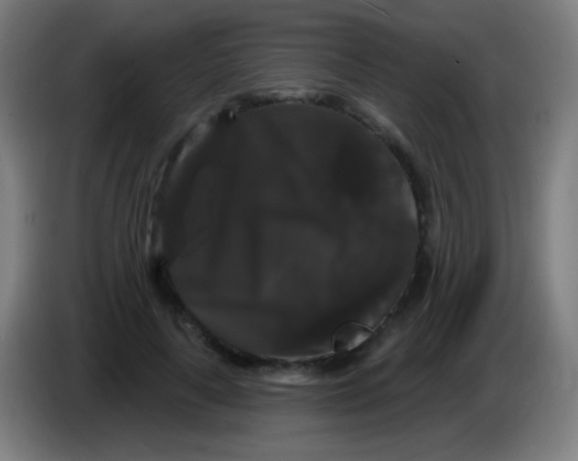 X0000085320643200703302045