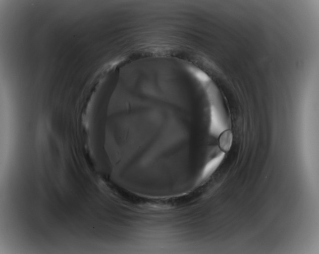 X0000085320644200703302045