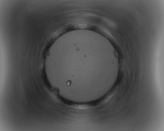 X0000085320645200703302045